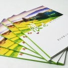 畫冊5